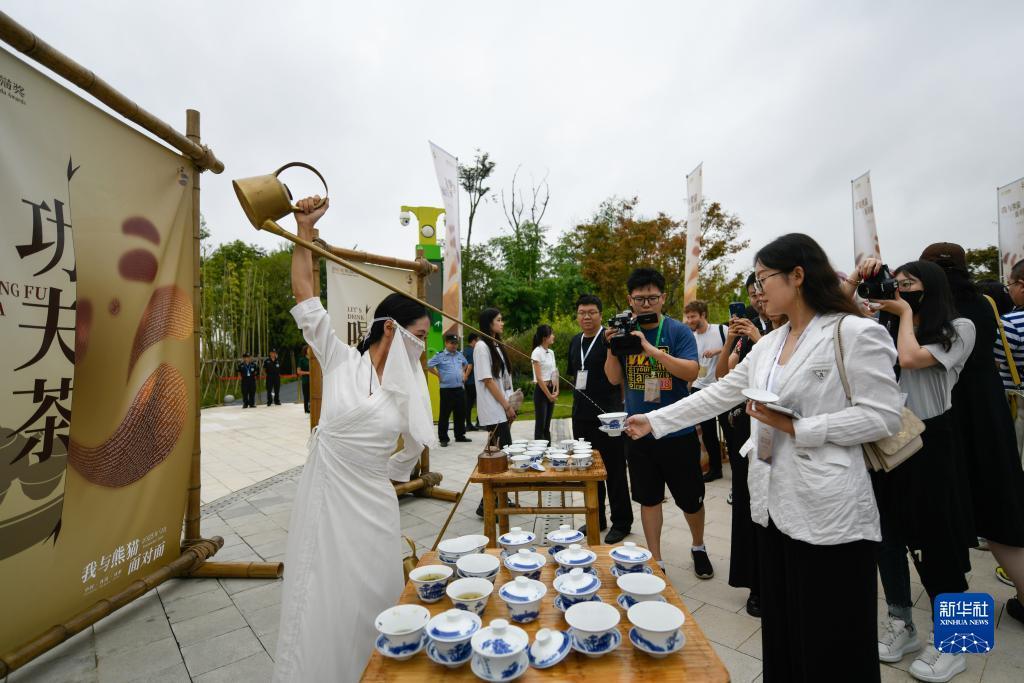 金星国际官网注册